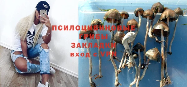 соль ск Нея